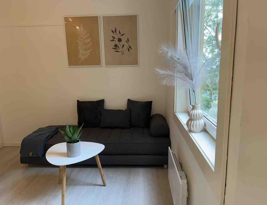 Sentral Leilighet I Gamle Oslo Apartment Ngoại thất bức ảnh